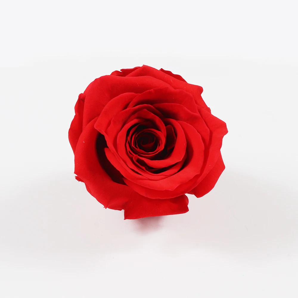 All occasions roses head preserved fresh flower rose for sale