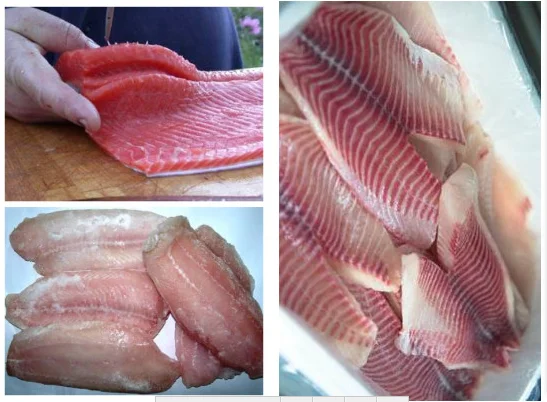 
30 piece per minute fresh fish meal fillet cutting machine fish fast automatic processing machines 