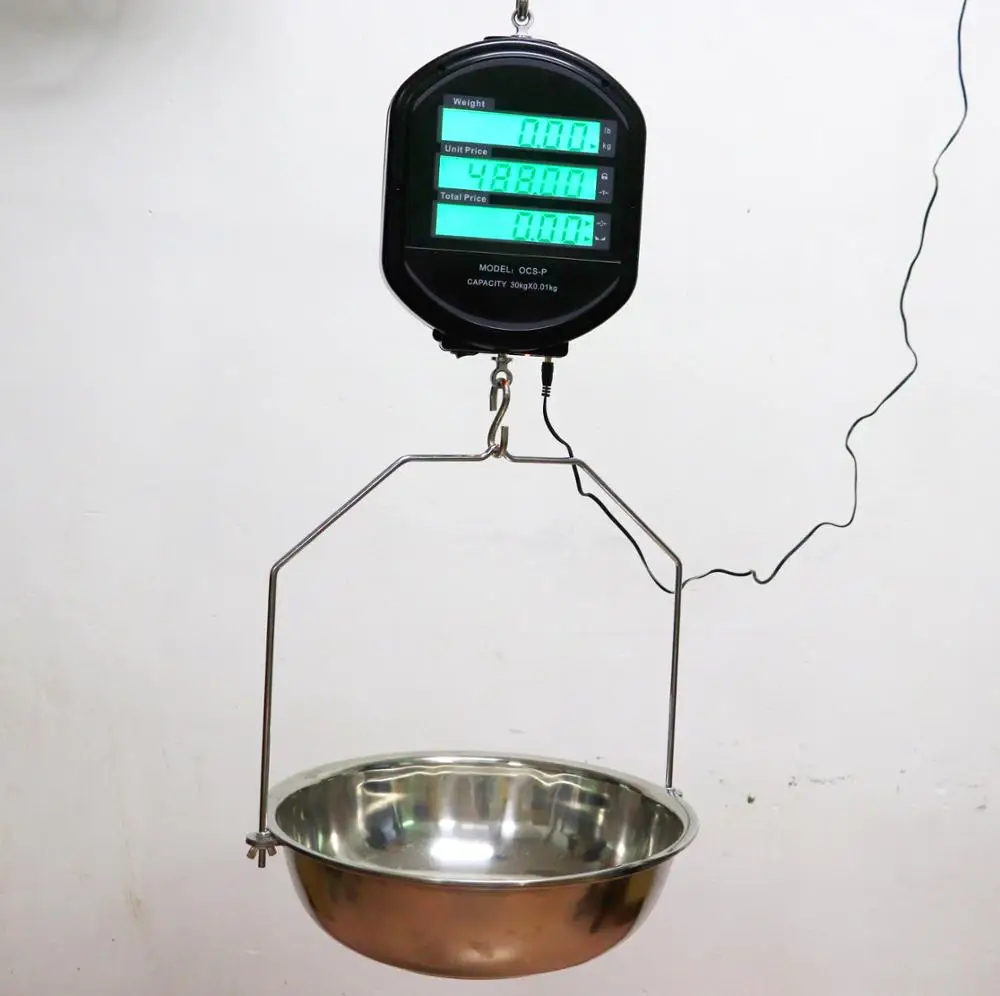 dual sides fish vegetable waterproof commercial high precision weigh 30kg hanging digital electronic price scale with controller