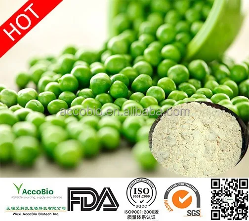
Non-GMO Pea protein isolate wholesale, Pea protein powder in bulk supply 