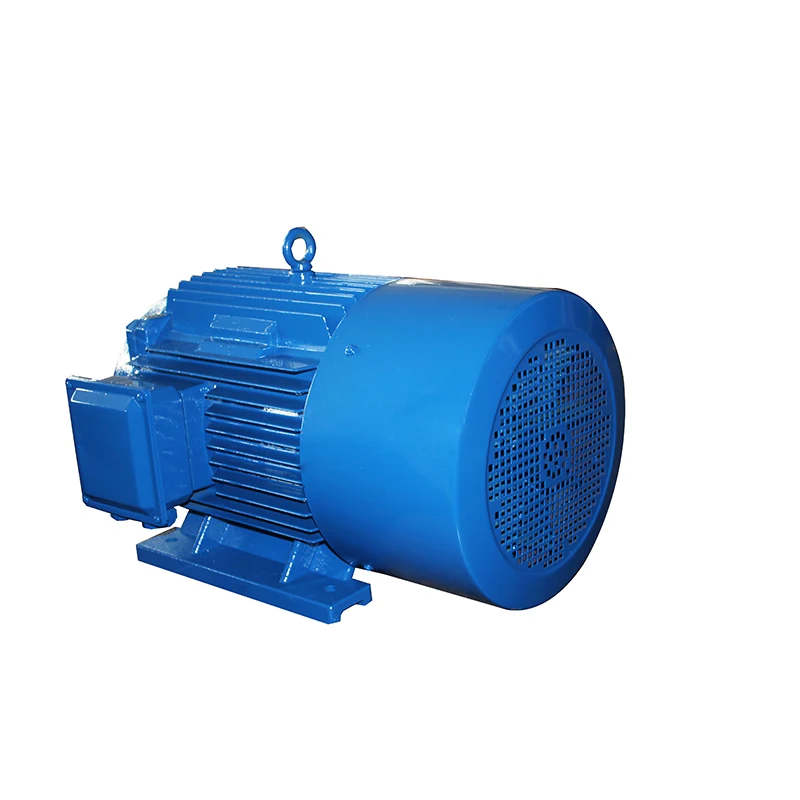 
Directory Y Series 380V 50HZ AC Induction Electric Motor 