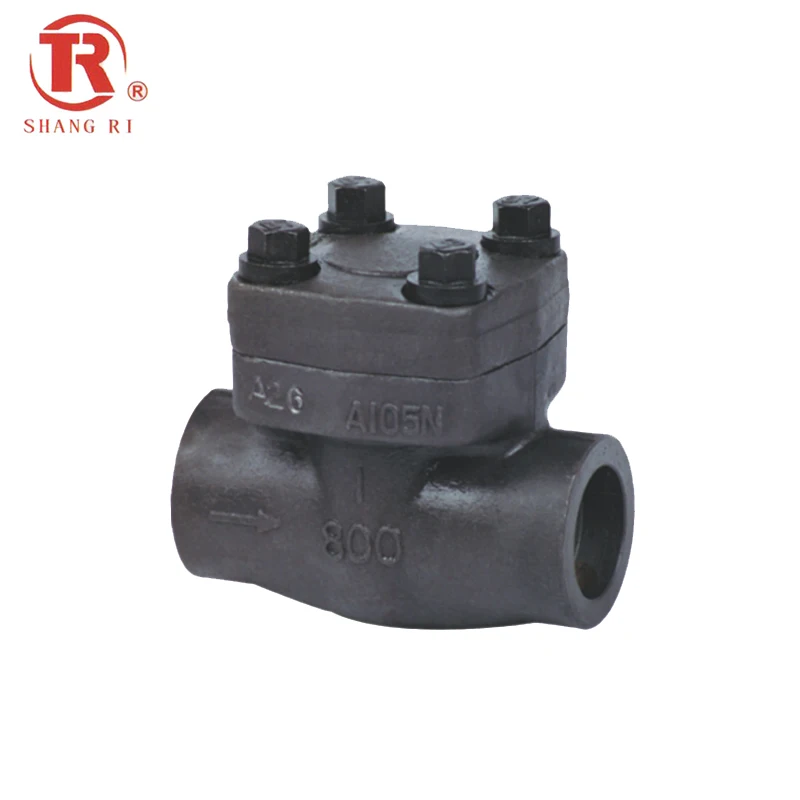 
API CE Factory Hot Sale High Pressure SW Forged Female Thread Non Return Check Valve 