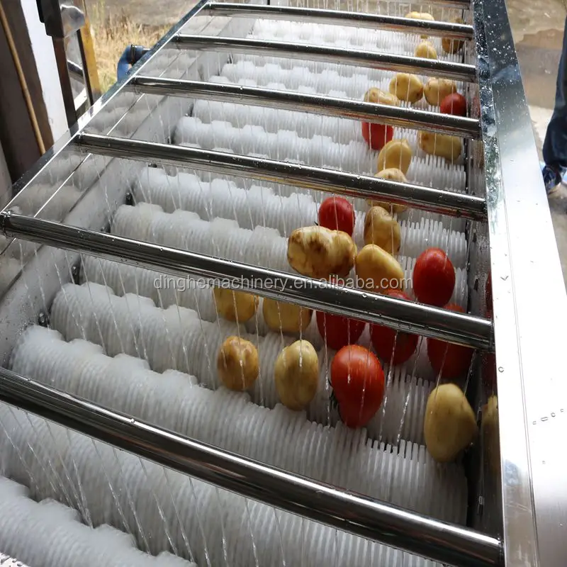 Commercial carrots / potatoes / celery vegetables washing equipments / root vegetables cleaning machine