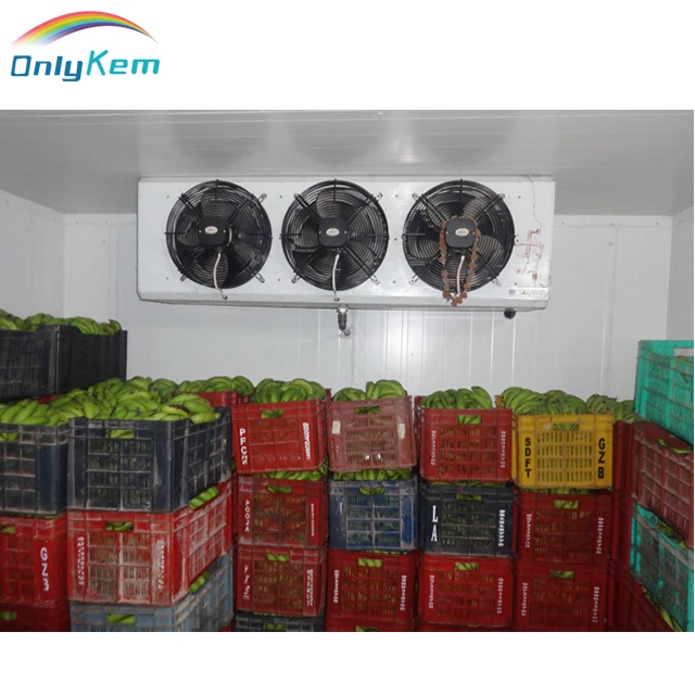 Indian cold storage for onion and cucumber