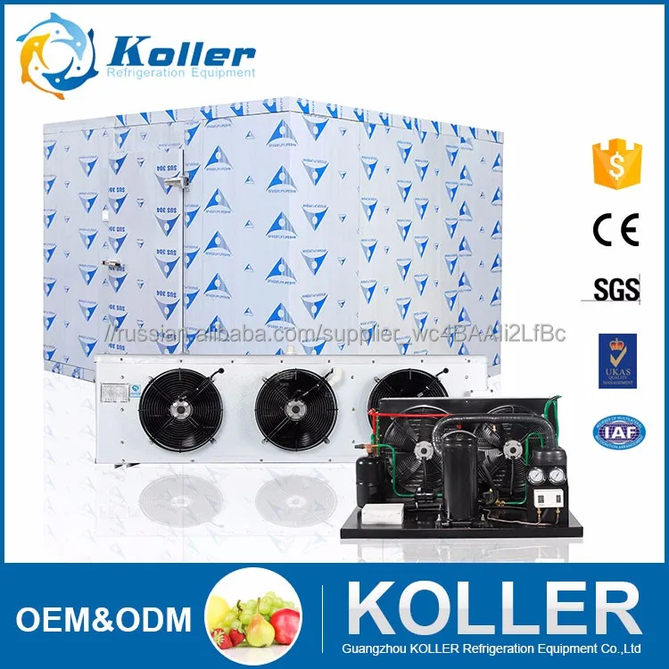 Горячие продажи Холодной комнате ходить в морозильник) для фруктов/рыба/мясо/цветок