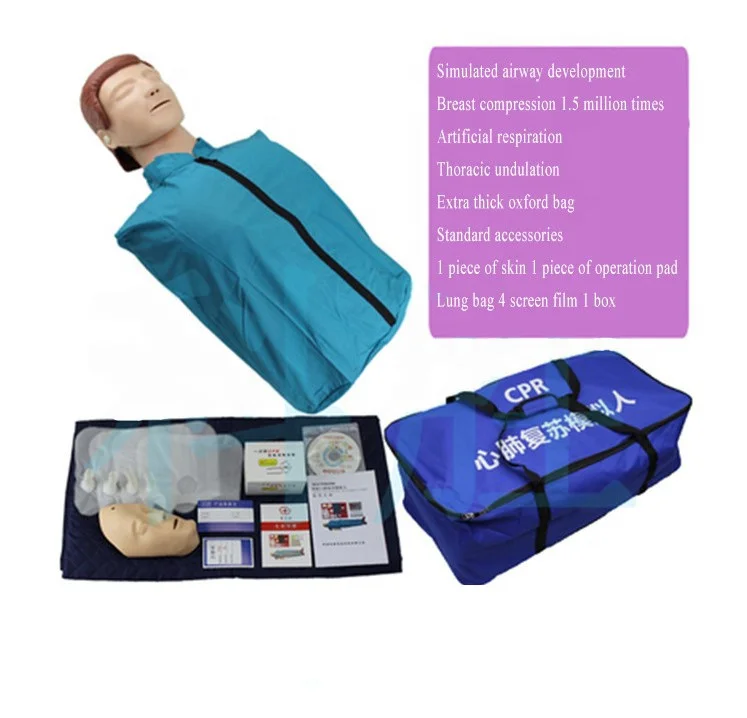 
Half body CPR manikin First aid training human model CPR training model  (62213124712)