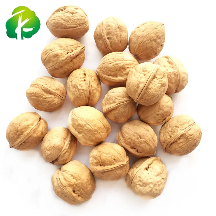 
High quality Best Price Oganic Walnuts with Thin Shell 