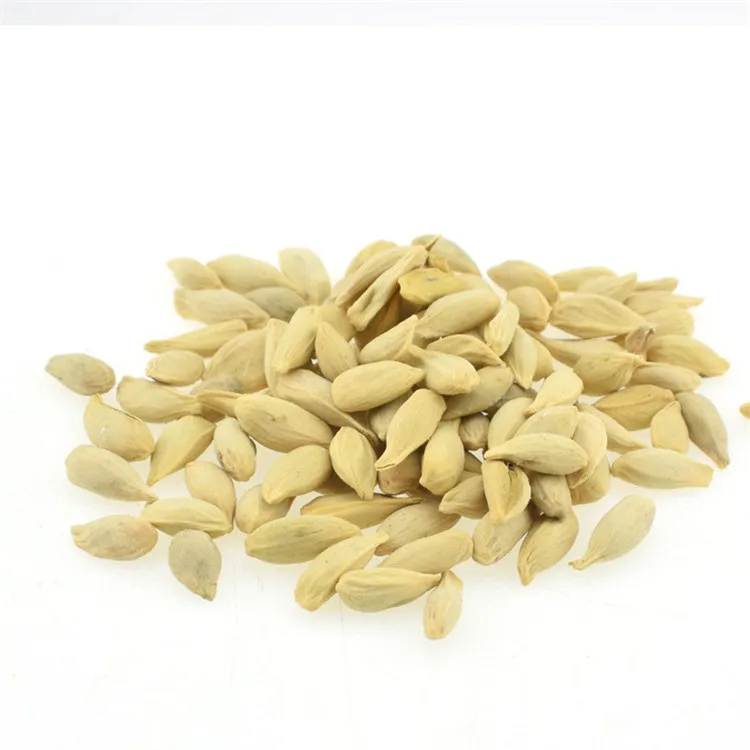 
Заводская поставка высококачественных ЛИМОННЫХ деревьев/Цитрусовых лимонов/семян Meyer для выращивания 