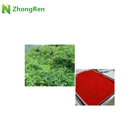 Powder form and drum packaging natural Celastrol powder, Celastrol / Tripterine 98%