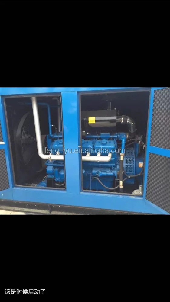 Fengyu 300KW wood chip wood waste biomass gasifier power plant in Italy