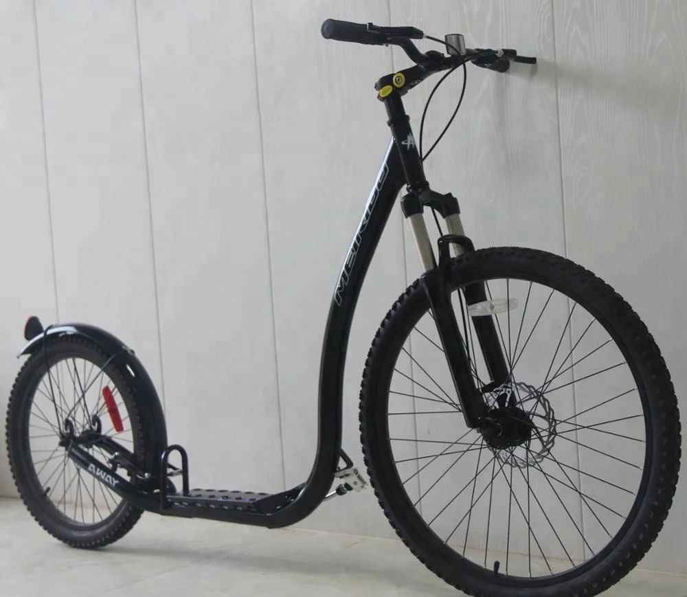 2021 New design Fashionable Adult Kick Scooter/dog Scooter/ Street Footbike(SY-SC262068SS)