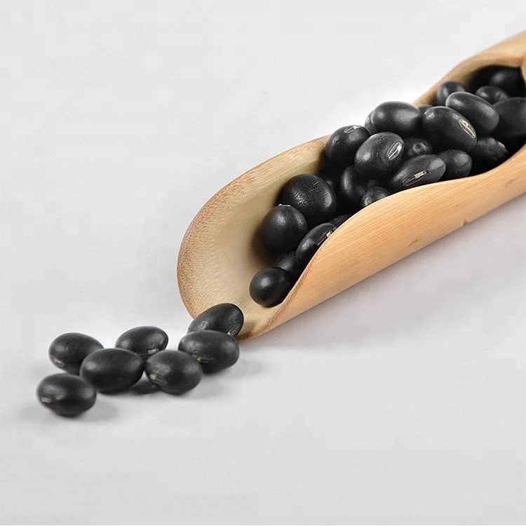 New crop soybean  yellow kernel green kernel black bean  bean price