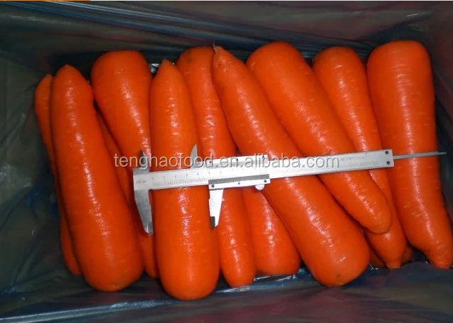 
fresh carrot 