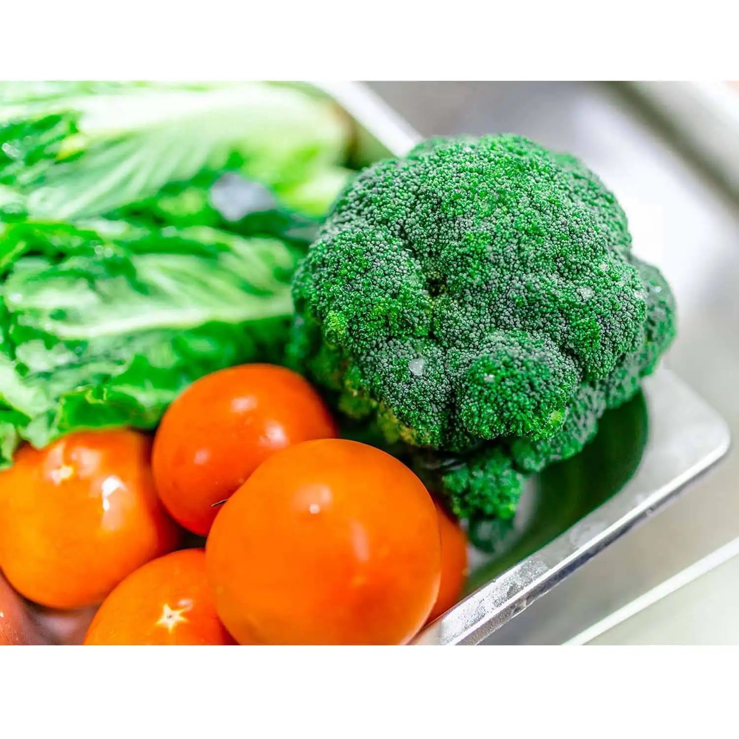 CE 10 Years Lifetime 5 Pans Gelato Ice Cream Blast Chiller Freezer