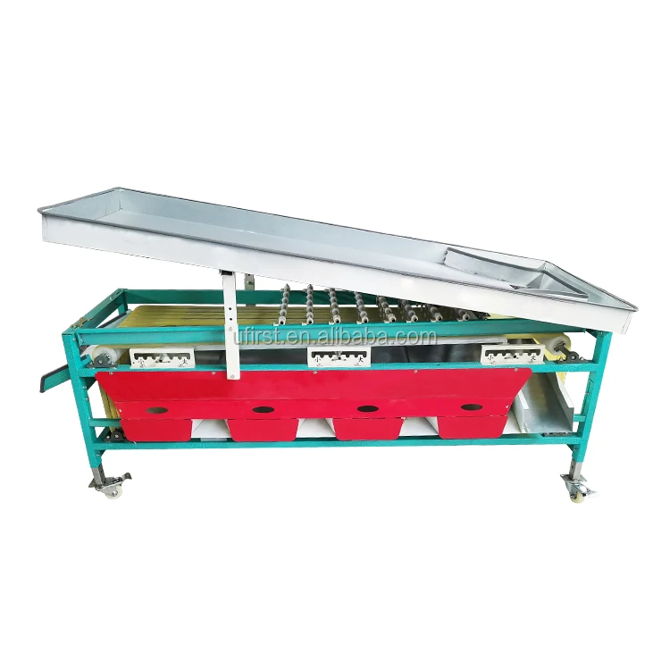 
Large capacity stainless steel blueberry cherry citrus sorter processing machine 