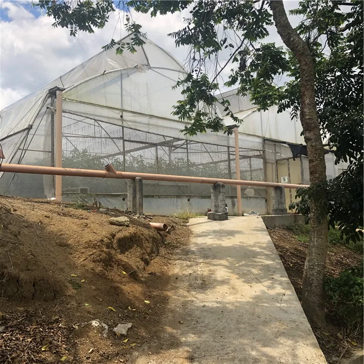 greenhouse agricultural hydroponic greenhouse systems greenhouse manufacturing