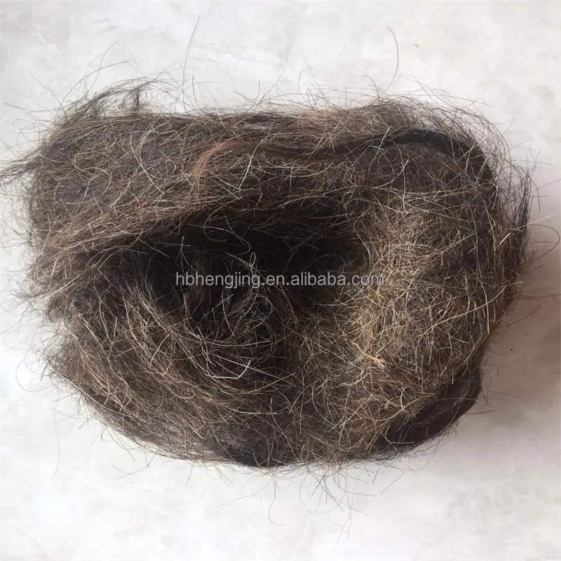 Washed Horse hair  for mattress