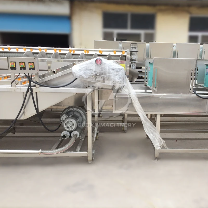 Citrus fruit washing machine / Orange cleaning machine / Citrus fruit washer and cleaner machine