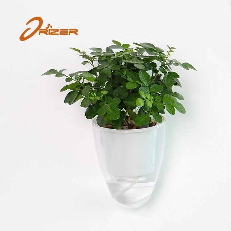 2020 trending product ABS material wall hanging decorative indoor transparent flower pot