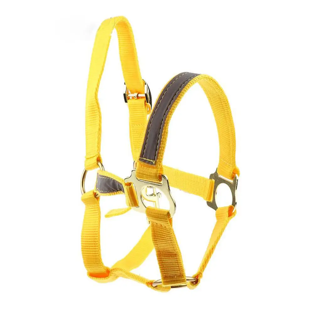 PP Fluorescent Yellow Horse Collar Bridle Halter with Light Reflective Tape High Visibility for Horse Riding Equestrian S/M/L/XL