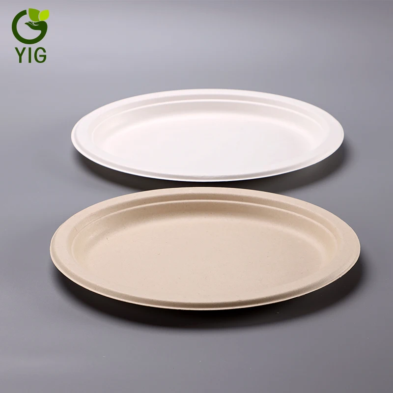 
10 Inches 100% Eco Friendly Disposable Sugarcane Oval Plates 
