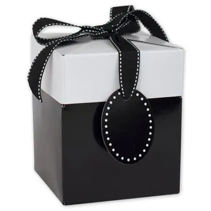 Fashion Black and white Gift Box Pop-Up Gift Boxes With Black Tie paper box packaging