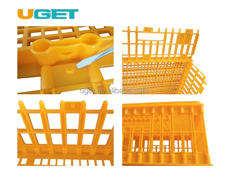 
Customized Recyclable Stackable Plastic Transport Poultry Crate for Chicken Duck Goose Dove 