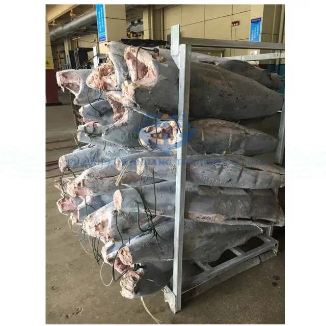 
frozen makaira mazara blue marlin fish in deeper tropical water 