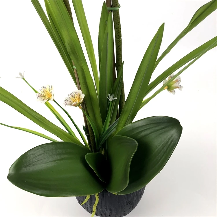 Wholesale Phalaenopsis Orchid Flower High quality Orchid Artificial Bonsai Phalaenopsis Orchid Set Real Touch Flowers