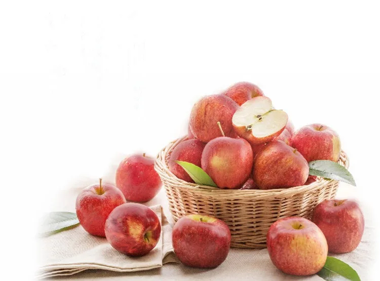Hot Selling China Organic Fruits Fresh apples qinguan apple