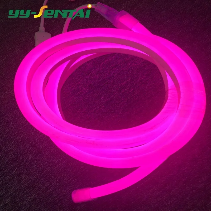 
wholesale Waterproof ip65 220V colorful 6W flexible led strip neon light 