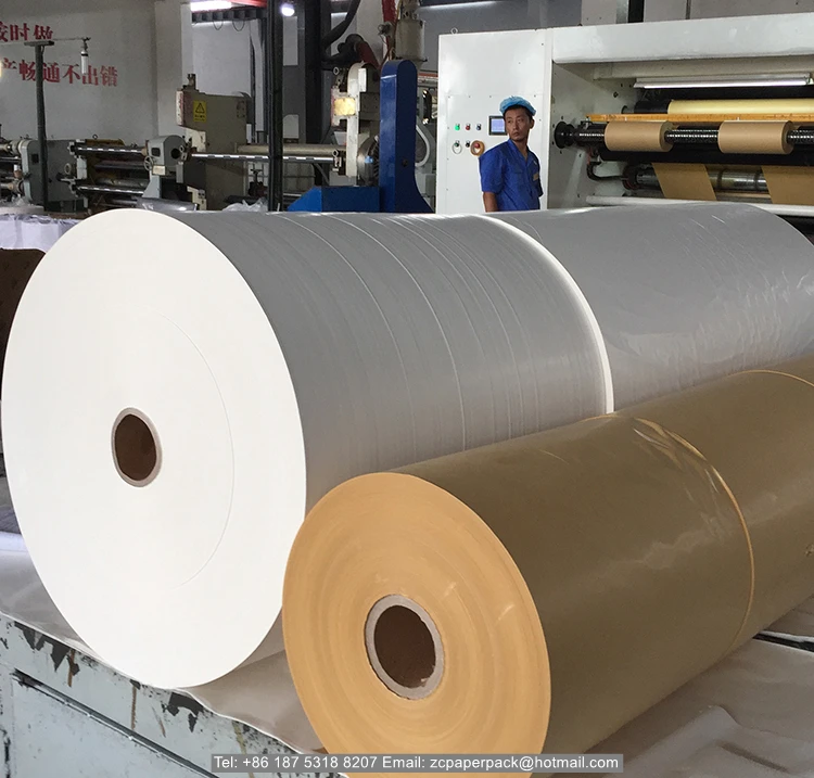 
One Side Coated Bleached White and Brown Poly Kraft Paper in Rolls 
