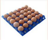 hot sale weifang manufacturers plastic poultry egg incubator tray
