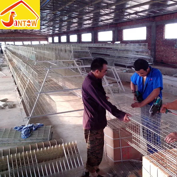 
Hot Galvanized Chicken Poultry Cages Cold Galvanized Cage tunnel ventilated poultry house For Sale Nigeria Africa 