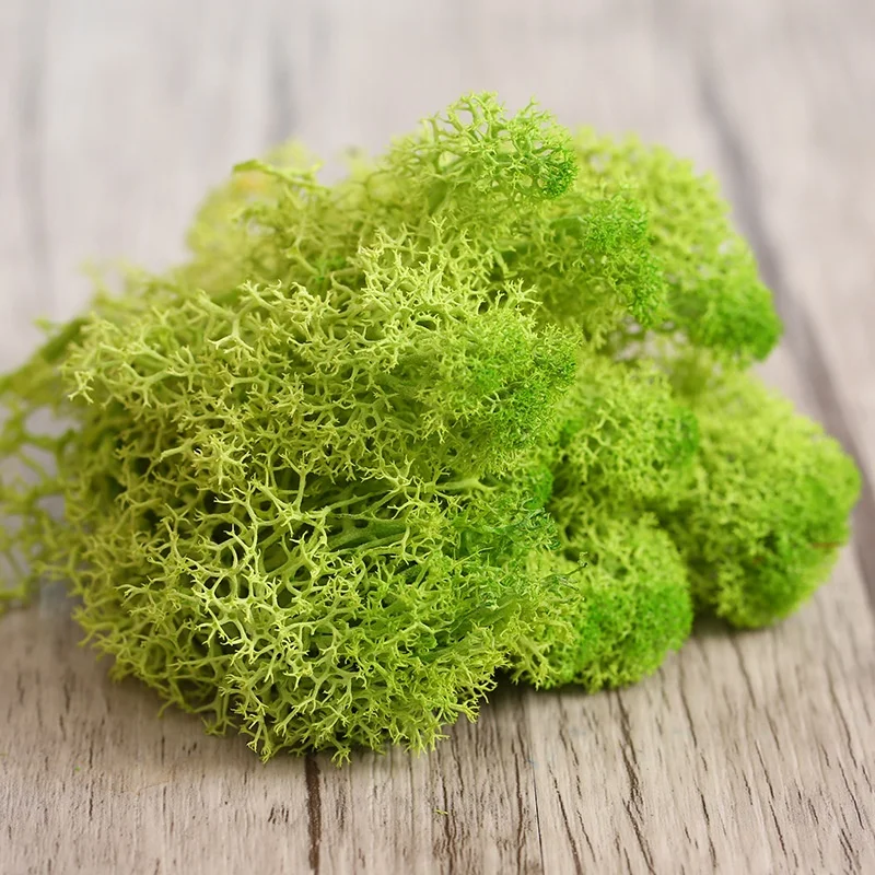 Hot sale vertical artificial natural preserved moss grass wall for shop decor