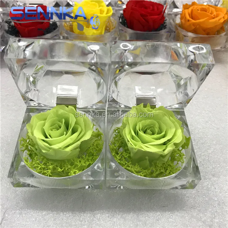 Perfect Christmas Valentines Romantic Gift Long Last Rose Small Preserved Roses in Ring Box