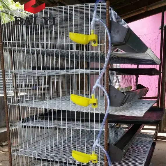 Клетки Для перепелов в продаже ченнаи с клетками