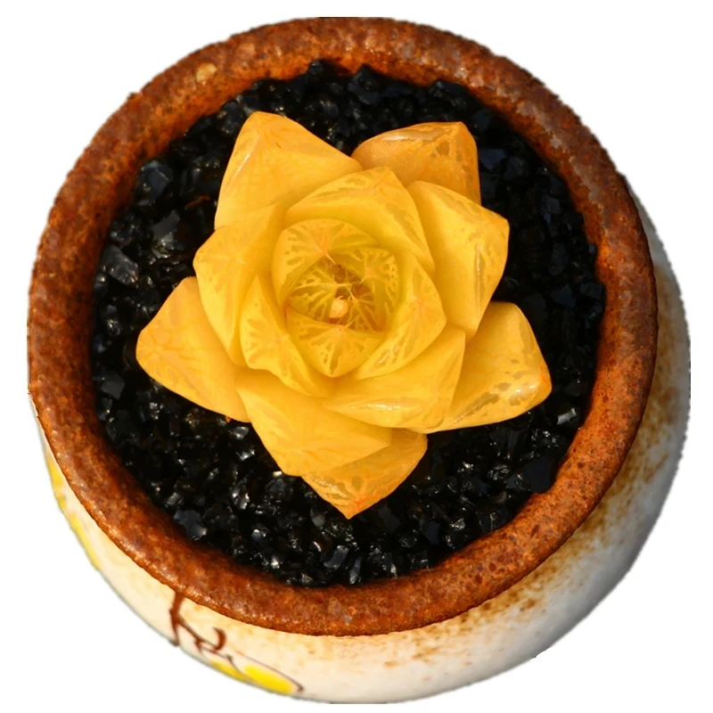 
 Суккулентные растения, бонсай, Нефритовая роса  