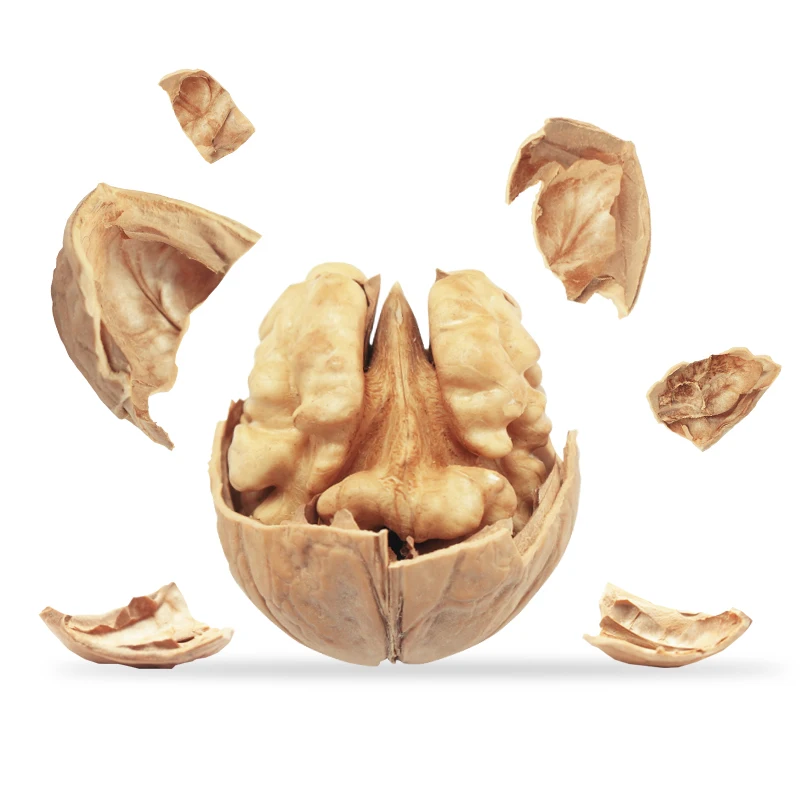 
whole raw walnut in shell walnut export 