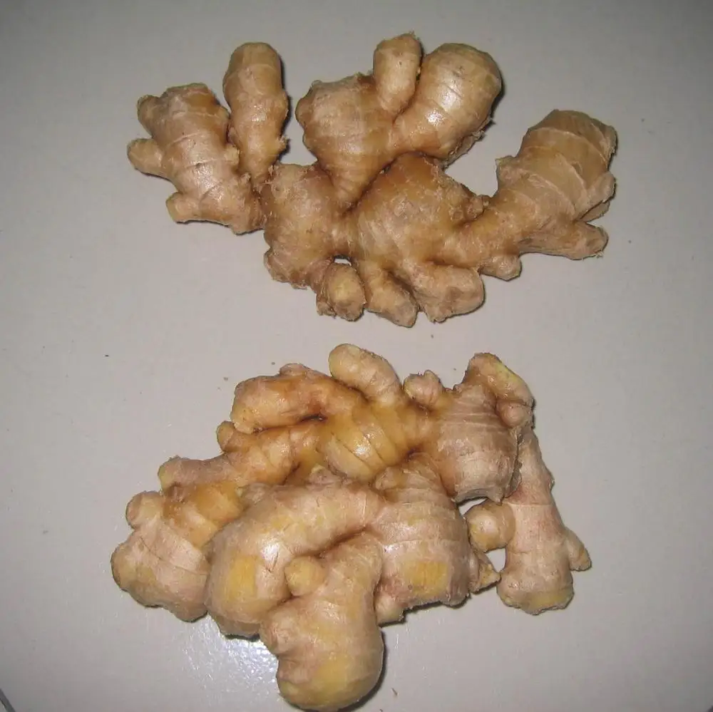 high quality air dry ginger /dried ginger