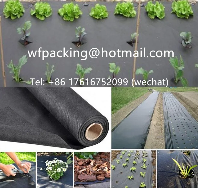 Agricultural woven pp weed control mat ground cover net Weed Control Mat Fabric for USA Market