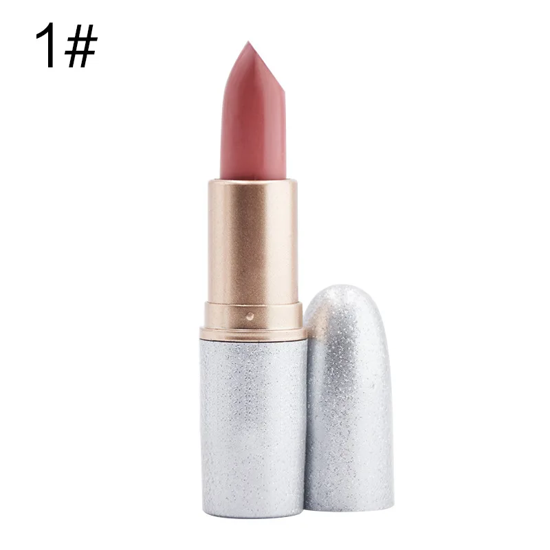 
Hot sales multi cllor brown cheap long lasting lipstick 