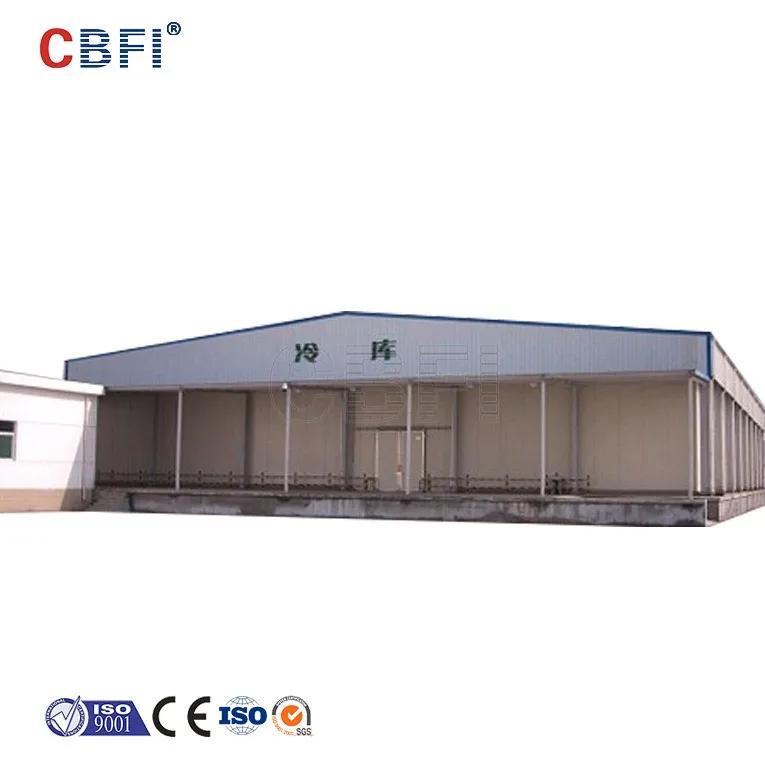 
easy warehouse construction blast deep freezer cold frozen storage room for fish and meat  (60752854182)
