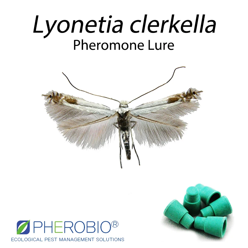
Leaf miner lyonetia clerkella pheromone lure pheromone trap 