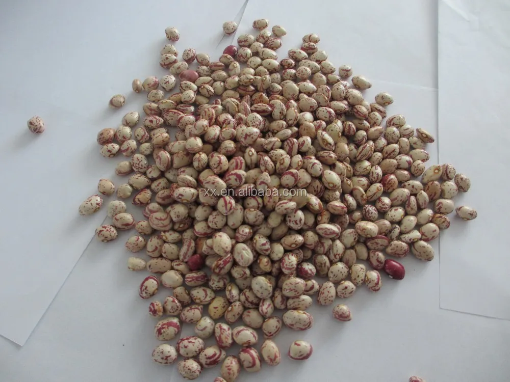Light speckled kidney beans red kidney beans kidney beans benefits health
