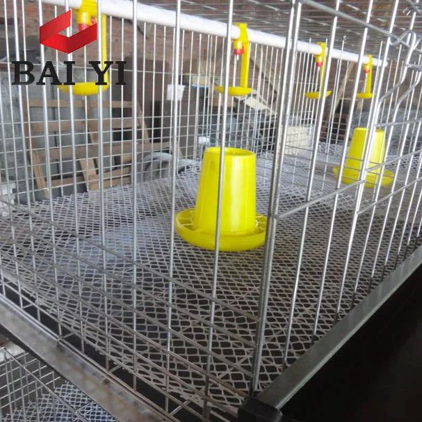 H Type 3 Tier 48 Birds Capacity Cage For Growing Broiler