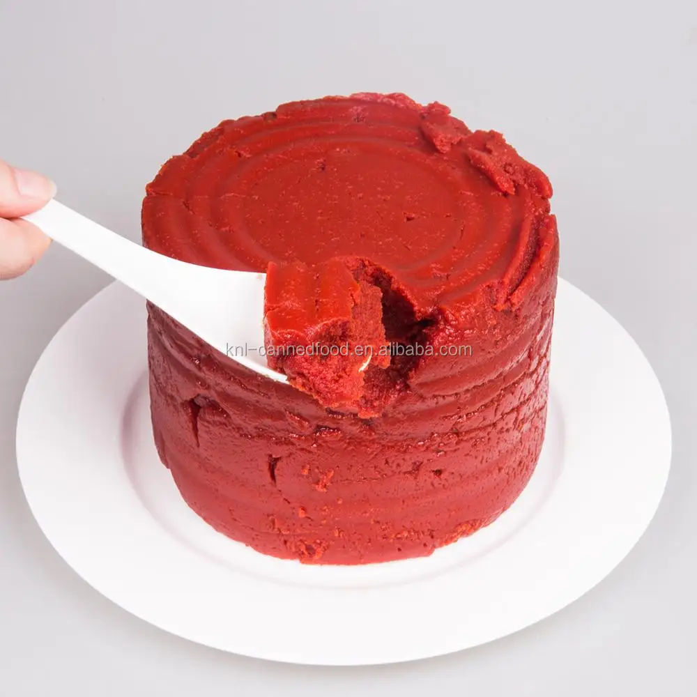
aseptic tomato paste Canned Concentrated Tomatoes 400 grams 