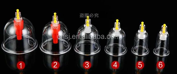 
2018LVS Negative Pressure Cupping Set, Acupuncture Chinese Cupping Set Health Care Transparent English 6 Magnetic Needles LV SHI 