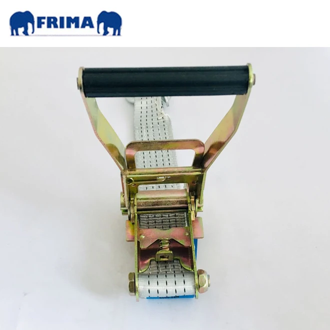 10m/5Ton Heavy Duty Lashing Ratchet Tie Down Polyester Webbing Strap with Electric Galvanized D Shackle for Vehicle Transport