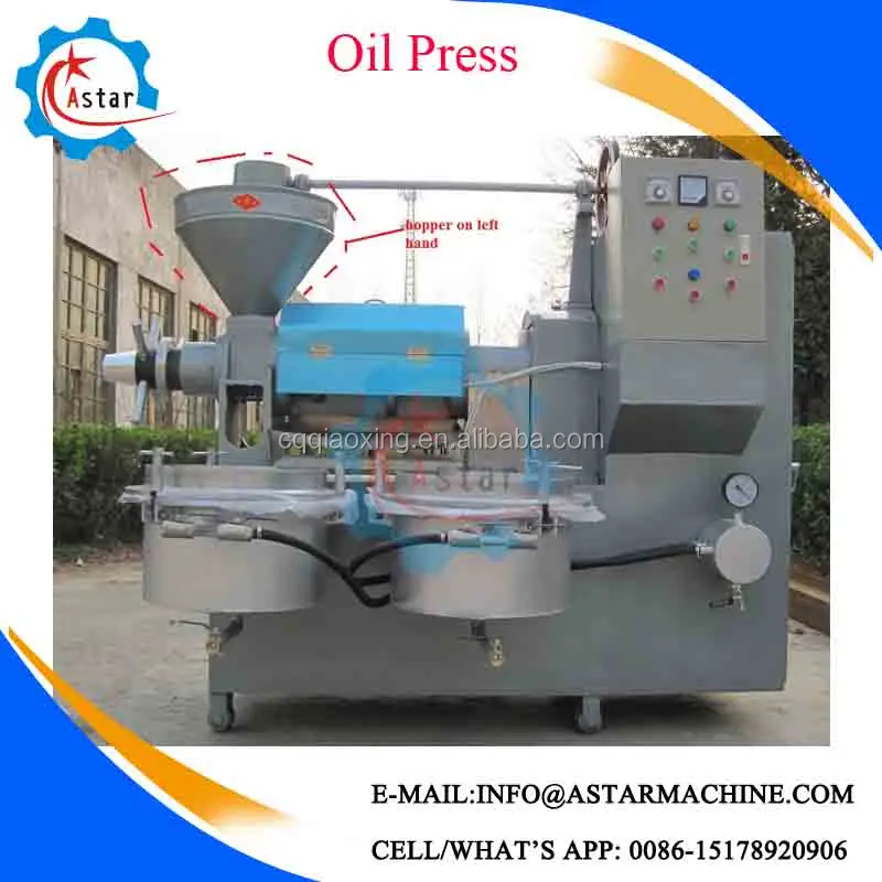 Mini Home Use Peanut Soybean Oil Press Machine